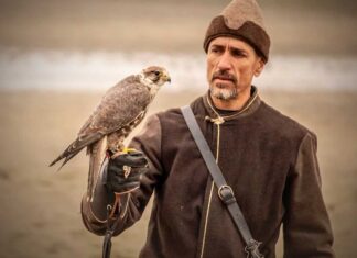 L'arte della falconeria: tradizione e prestigio