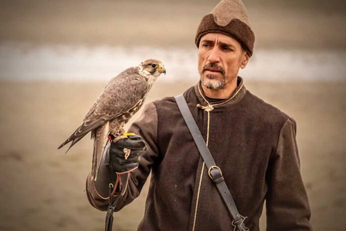 L'arte della falconeria: tradizione e prestigio