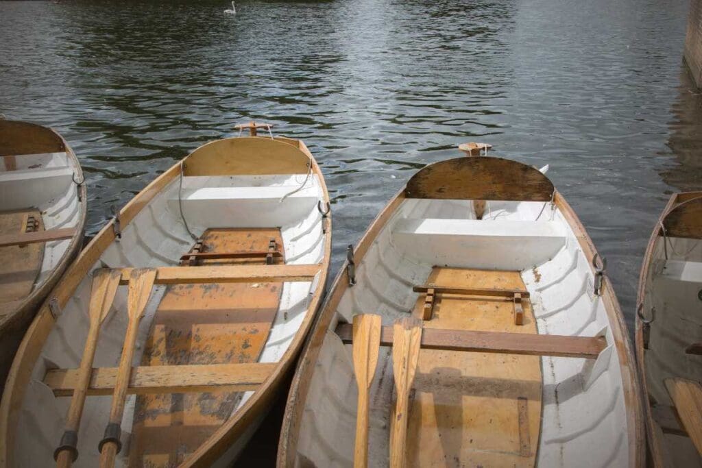 Dai remi ai motori elettrici: un'evoluzione