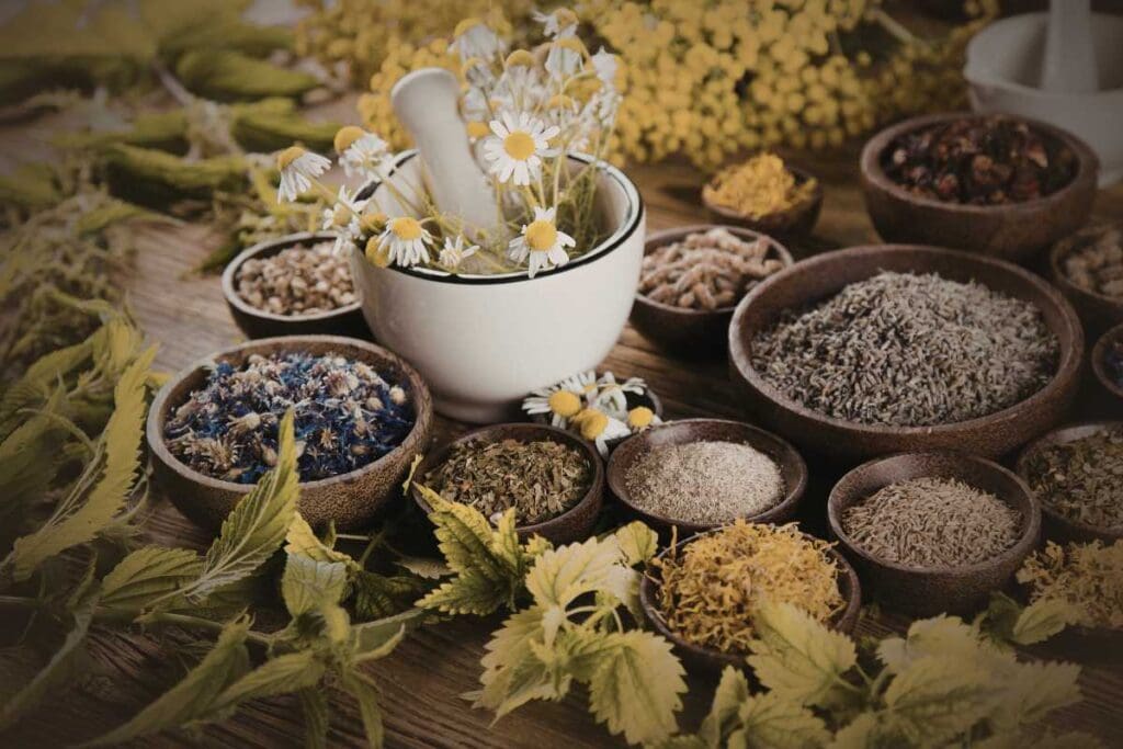 Dalle piante alle moderne scoperte farmacologiche