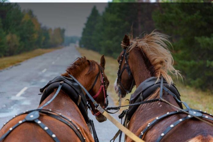 I mestieri delle poste a cavallo: corrieri, staffette e rischi del viaggio