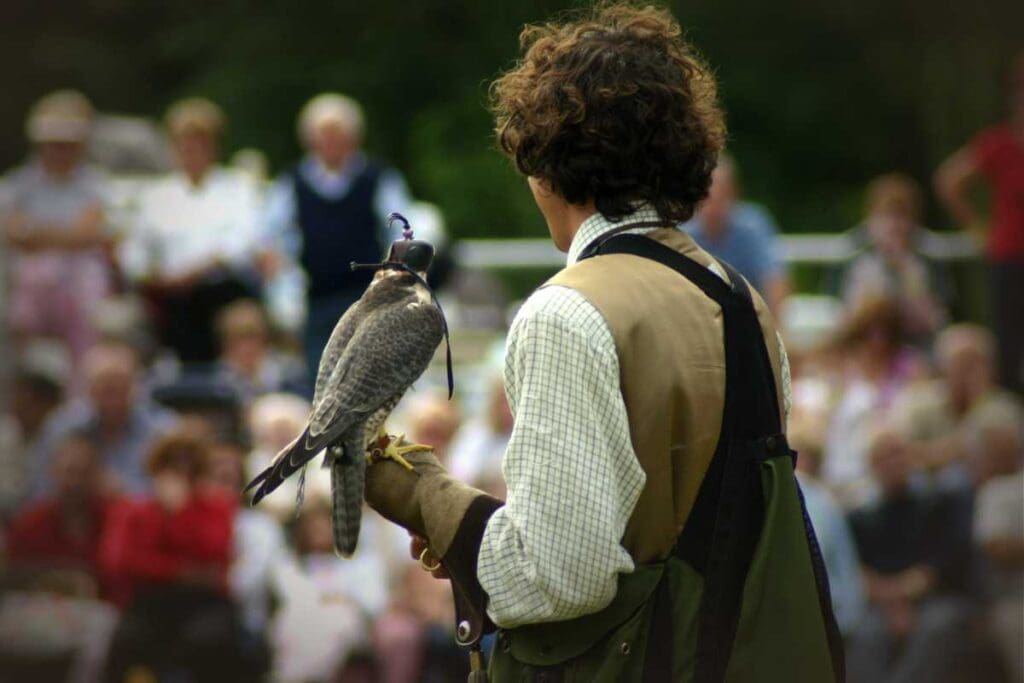 La falconeria e la promozione della conservazione