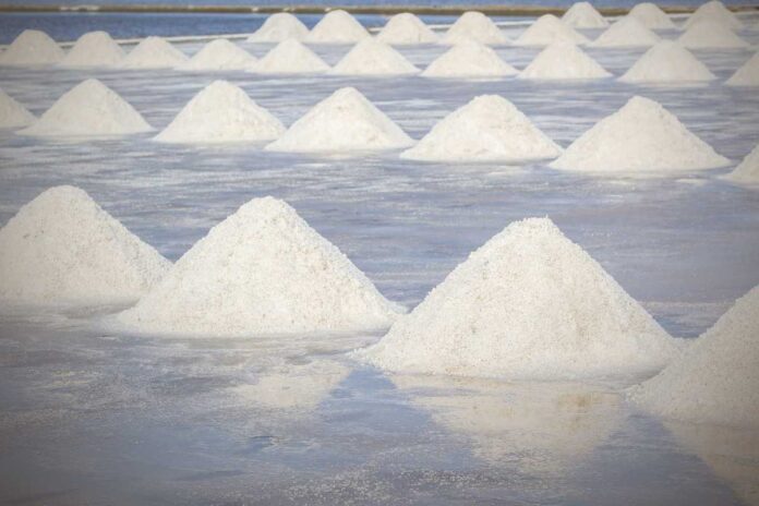 Modernizzazione del commercio del sale