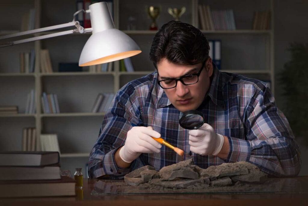 Percorsi di studio e specializzazioni in archeologia