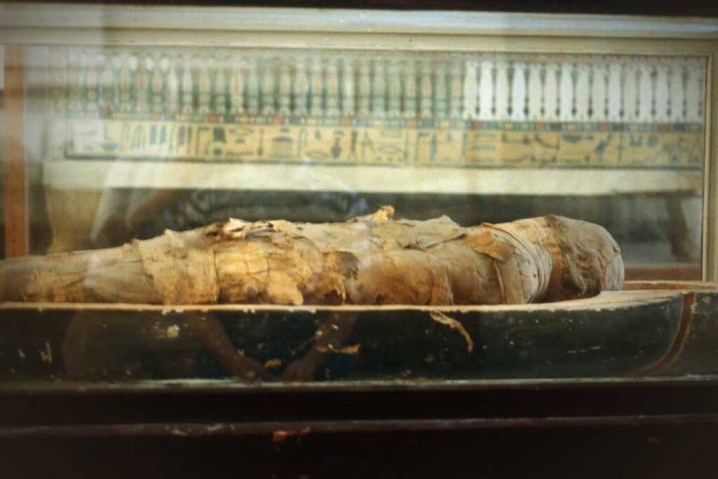 Scansioni 3D e realtà virtuale nei ritrovamenti