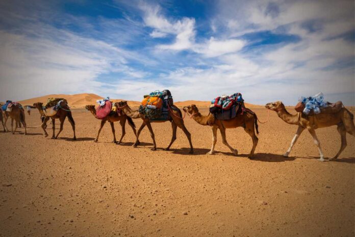 Carovane commerciali Storia e evoluzione delle carovane commerciali