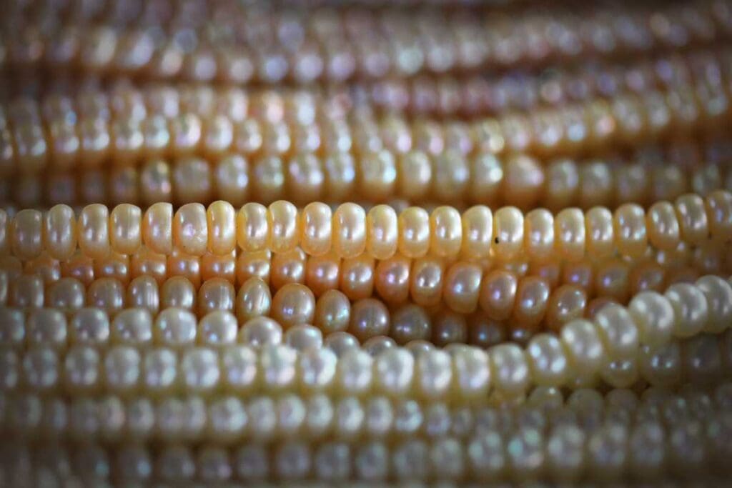 Tecniche di lavorazione e montaggio